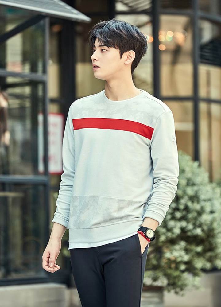 Singer, Actor, Model Cha Eun-woo