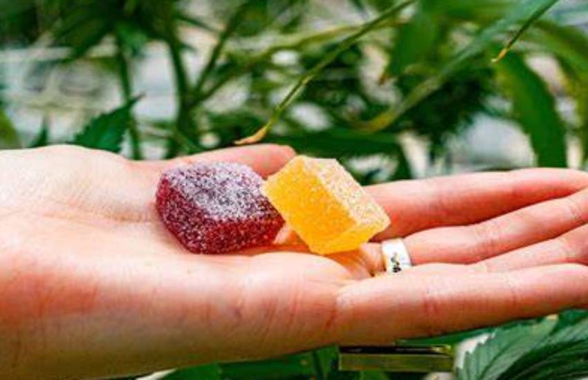 Why Delta-9 Gummies are Becoming the New Favorite Edibles